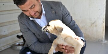 AK PARTİ BODRUM’DAN TORBA BARINAĞINA ANLAMLI ZİYARET