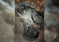 Marmaris’te ölümlü kaza: Eski başkan gözaltında