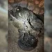 Marmaris’te ölümlü kaza: Eski başkan gözaltında