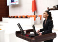 YENİ Parti Genel Başkan Yardımcısı Özcan’dan fon vurgunu ile ilgili çarpıcı tespit