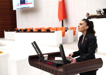 YENİ Parti Genel Başkan Yardımcısı Özcan’dan fon vurgunu ile ilgili çarpıcı tespit