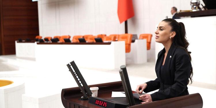 YENİ Parti Genel Başkan Yardımcısı Özcan’dan fon vurgunu ile ilgili çarpıcı tespit
